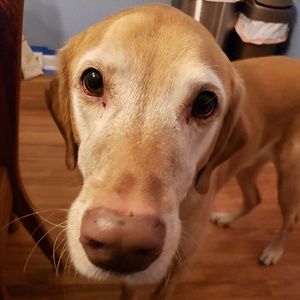 Meet your Posher, Sara